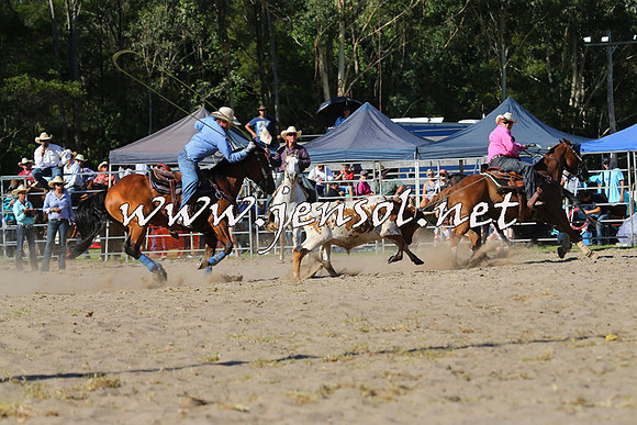 PictonRodeo2015_1715