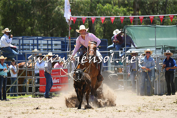 PictonRodeo2015_0472