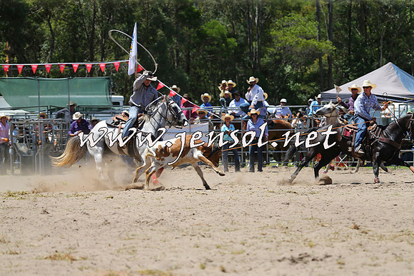 PictonRodeo2015_0909