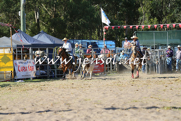 PictonRodeo2015_1731