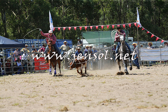 PictonRodeo2015_1232
