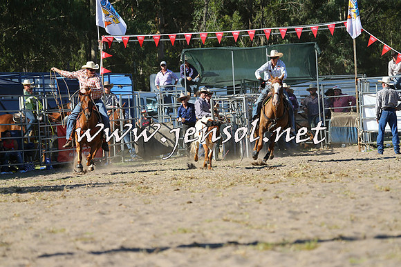 PictonRodeo2015_1784
