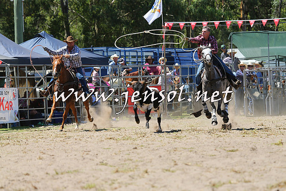PictonRodeo2015_1181