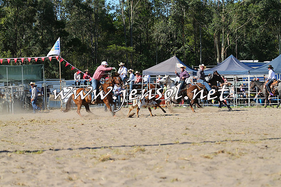 PictonRodeo2015_1753