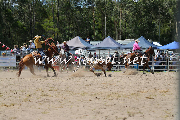 PictonRodeo2015_1221