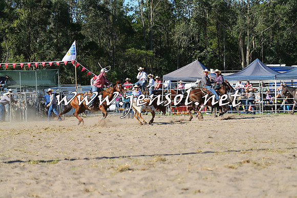 PictonRodeo2015_1752