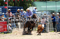 PictonRodeo2015_0004
