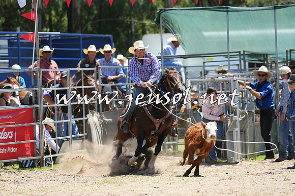 PictonRodeo2015_0004
