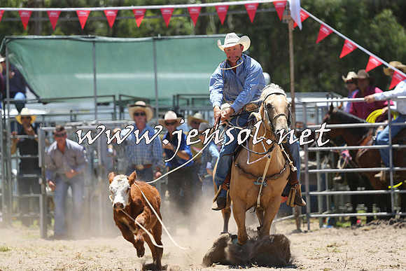 PictonRodeo2015_0497