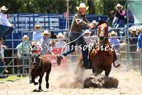 PictonRodeo2015_0490