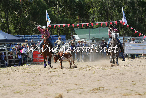 PictonRodeo2015_1231
