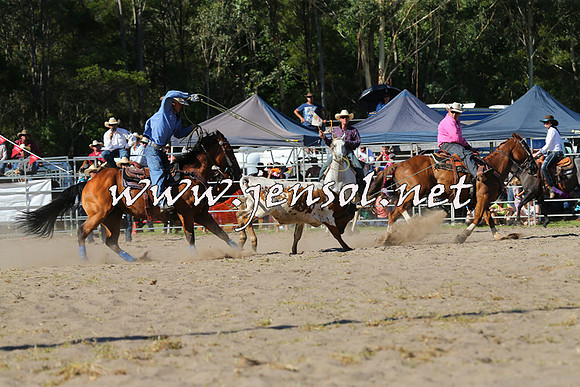 PictonRodeo2015_1713