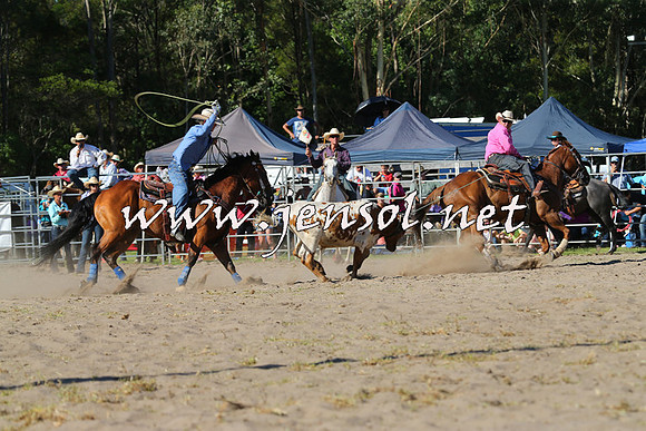PictonRodeo2015_1714