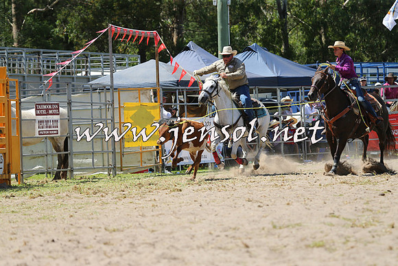 PictonRodeo2015_1248