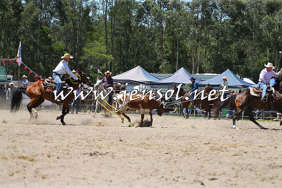 PictonRodeo2015_0843