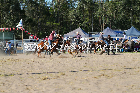 PictonRodeo2015_1749