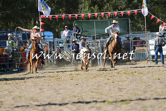 PictonRodeo2015_1783