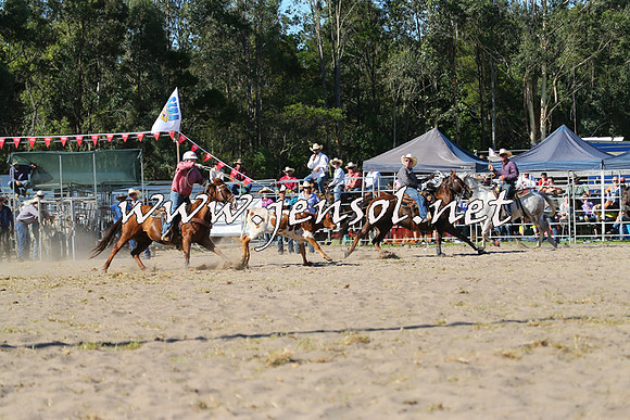 PictonRodeo2015_1741