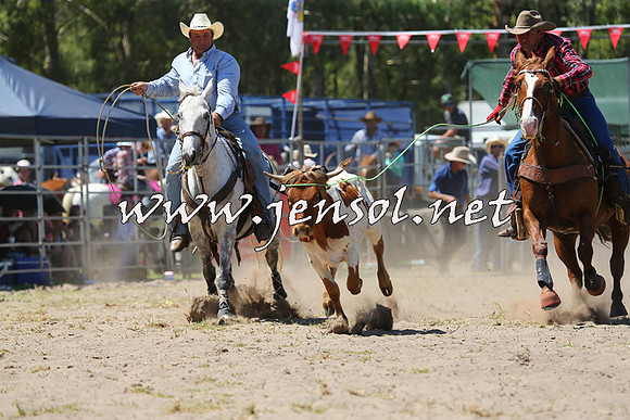 PictonRodeo2015_1168