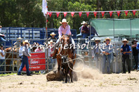 PictonRodeo2015_0470