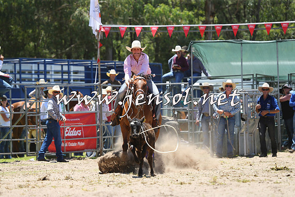 PictonRodeo2015_0470