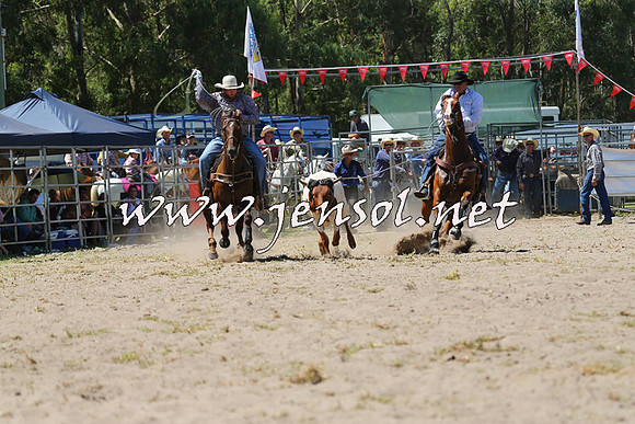 PictonRodeo2015_1185