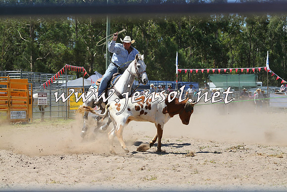PictonRodeo2015_1174