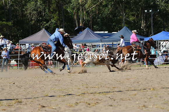 PictonRodeo2015_1716