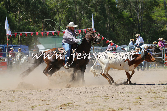 PictonRodeo2015_1190