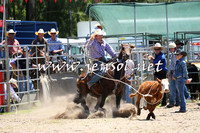 PictonRodeo2015_0003