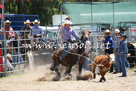 PictonRodeo2015_0003