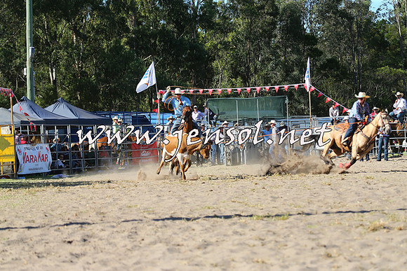 PictonRodeo2015_1781