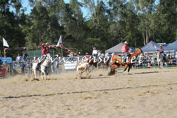 PictonRodeo2015_1769