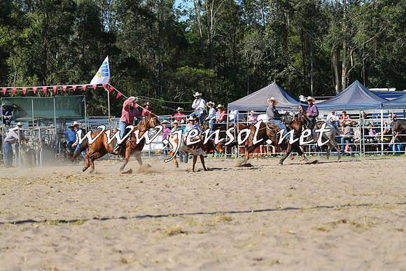 PictonRodeo2015_1739