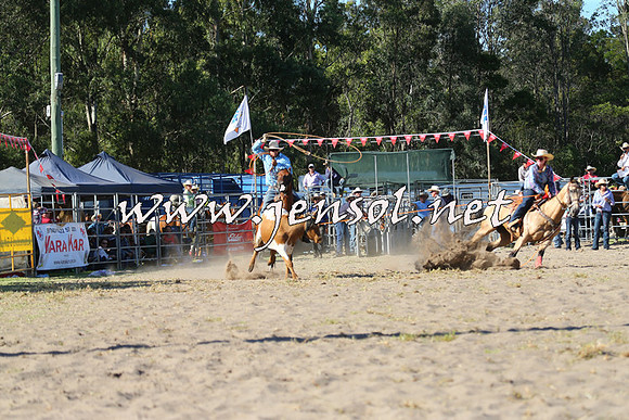 PictonRodeo2015_1779