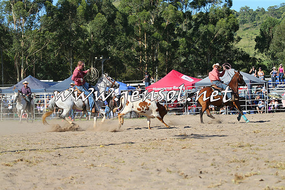 PictonRodeo2015_1768