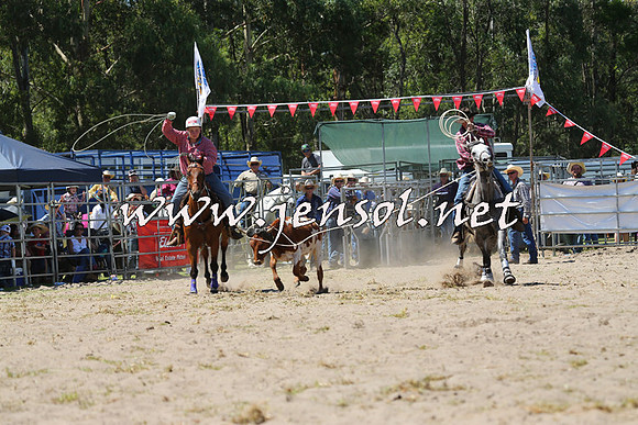 PictonRodeo2015_1230
