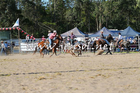 PictonRodeo2015_1746