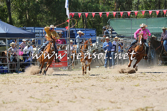 PictonRodeo2015_1218