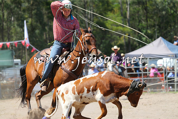 PictonRodeo2015_1234