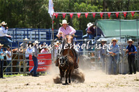PictonRodeo2015_0474