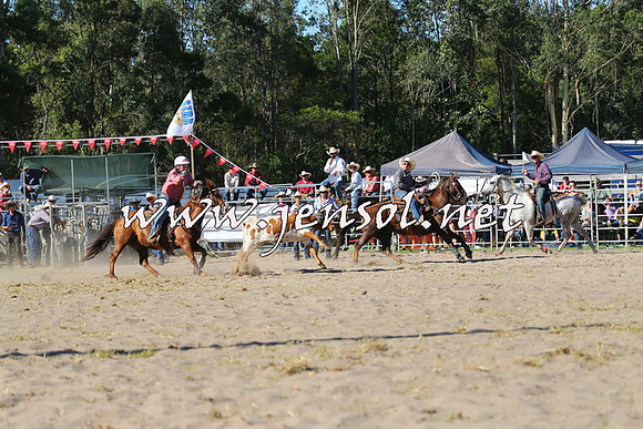 PictonRodeo2015_1738