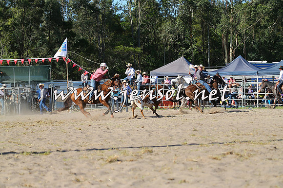 PictonRodeo2015_1751