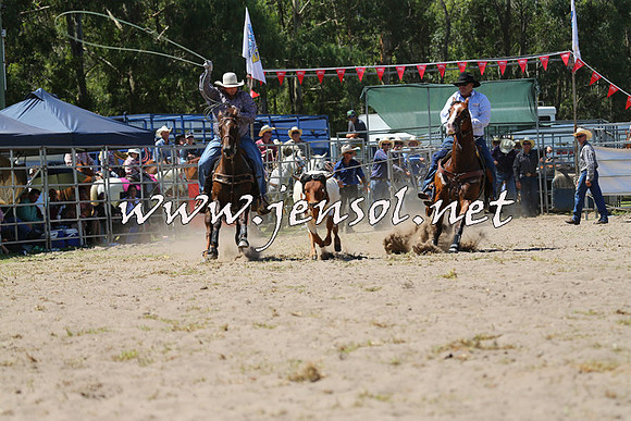 PictonRodeo2015_1184