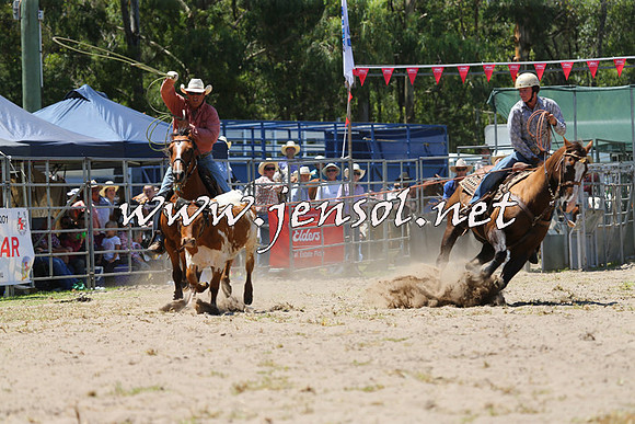 PictonRodeo2015_0862