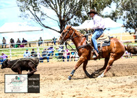 HardenRodeo_3034