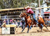 HardenRodeo_3058