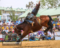 JindabyneRodeo2019_2036