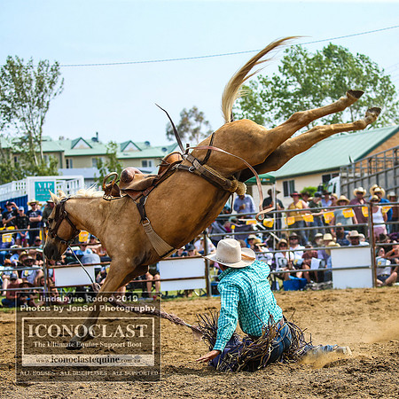 JindabyneRodeo2019_3728