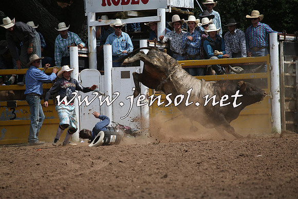 TaralgaRodeo2016_7641